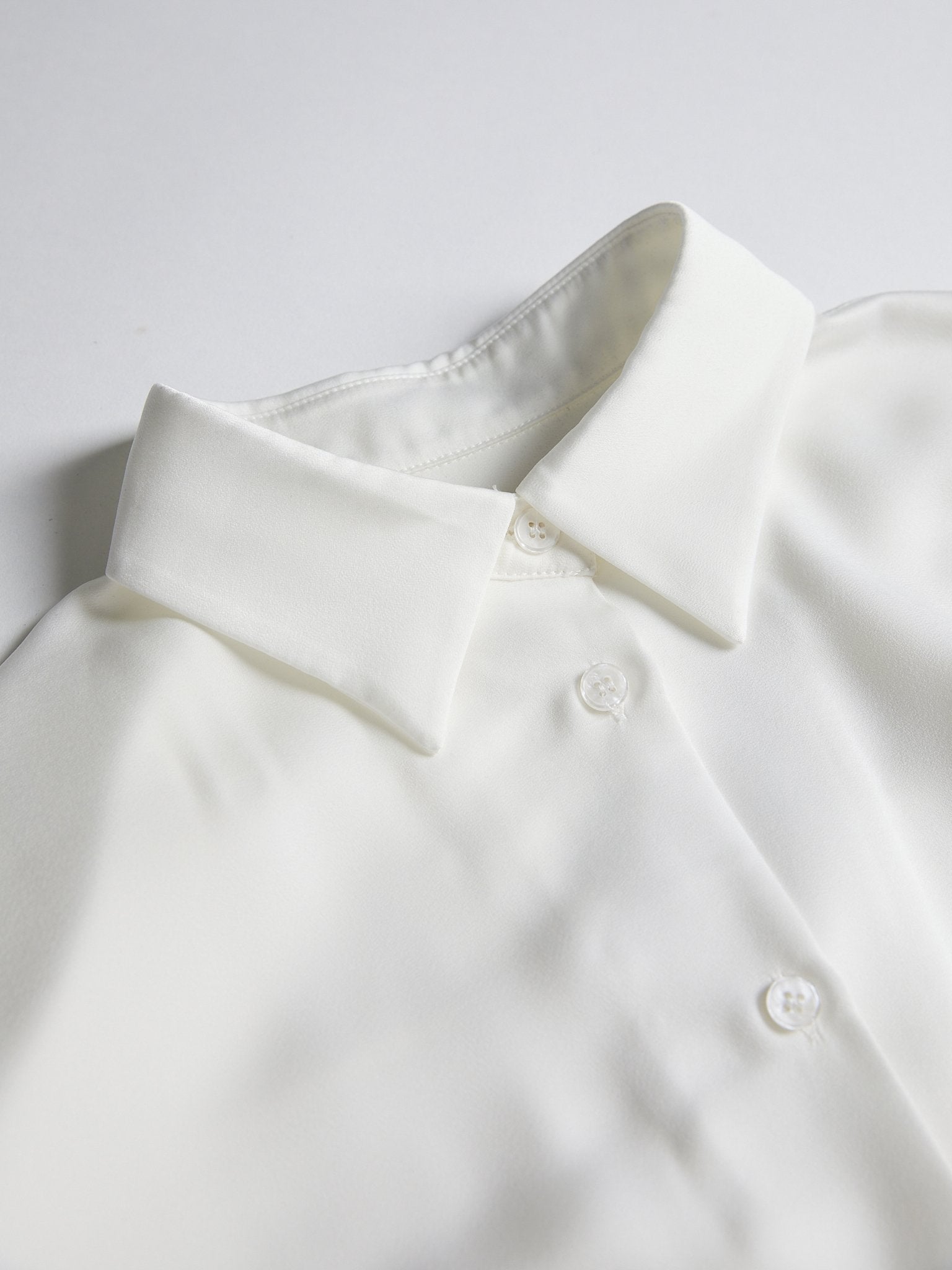 Aurise™ | 100% Silk Spread Collar Long Sleeves Blouse